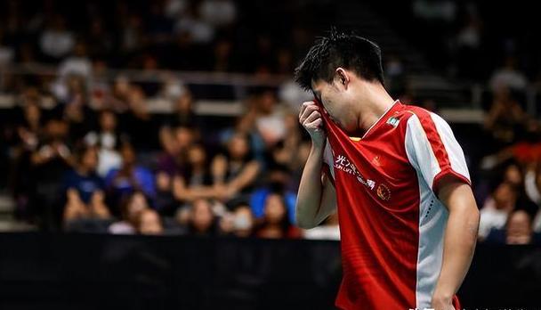 关于日本羽毛球队血洗韩国羽毛球队，林丹高光表现的信息