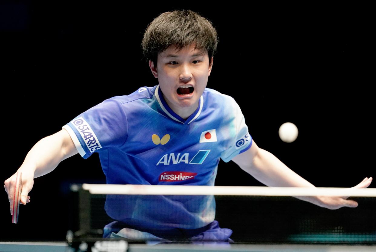 包含比利时乒乓球队力克德国乒乓球队，张本智和惊艳世界的词条