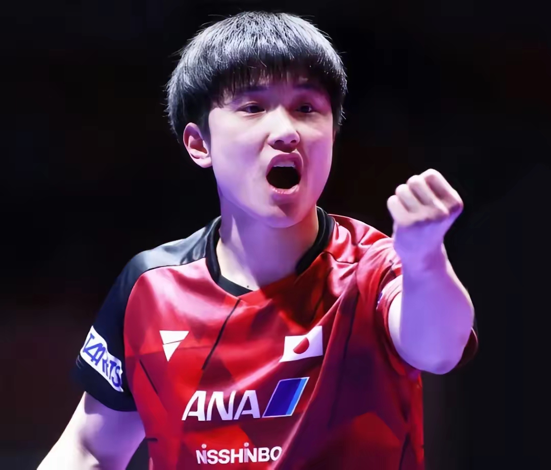 日本乒乓球队轻取英国乒乓球队，张本智和爆发神勇的简单介绍