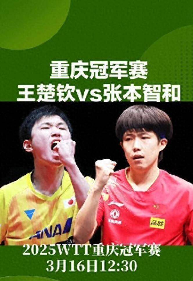 波兰队横扫英格兰队,张本智和带队取胜 波兰队横扫英格兰队,张本智和带队取胜