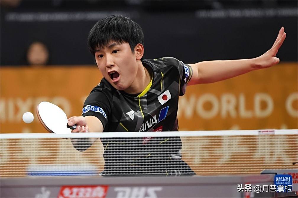 奥地利队横扫瑞典队,张本智和扛起全队 奥地利队横扫瑞典队,张本智和扛起全队