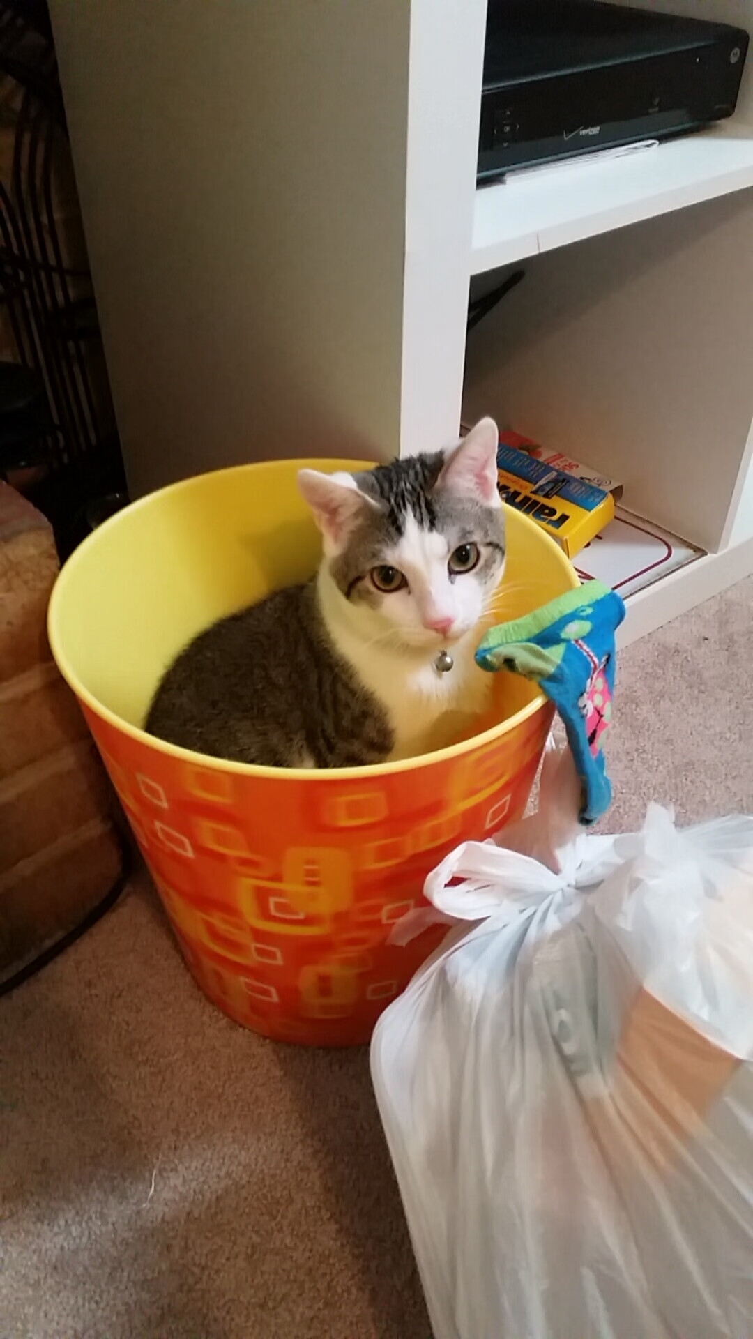 战术涅槃,挪威斩落法国背后的奥运周期战略棋局