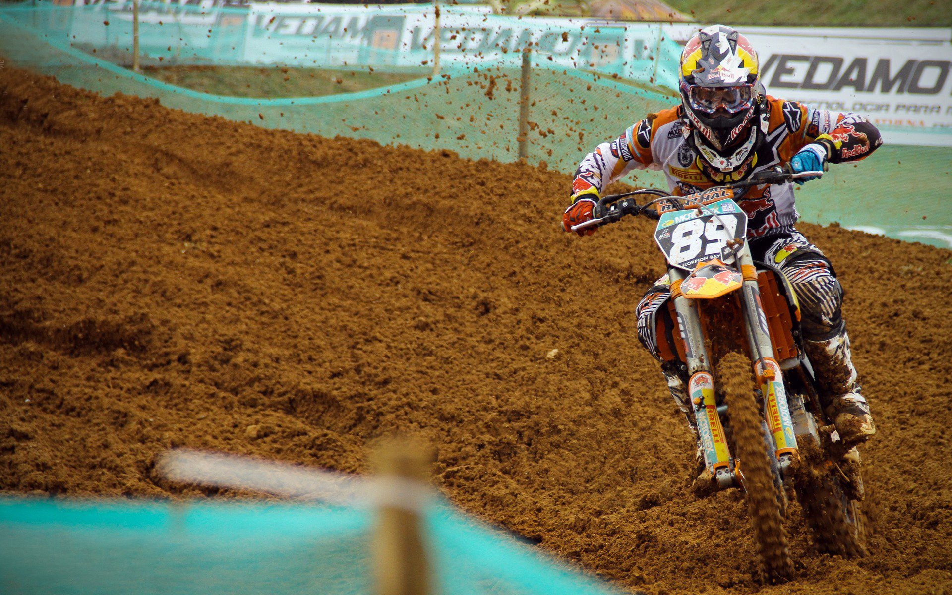 霓虹与草皮,帕尔默在北美之夜的史诗绽放