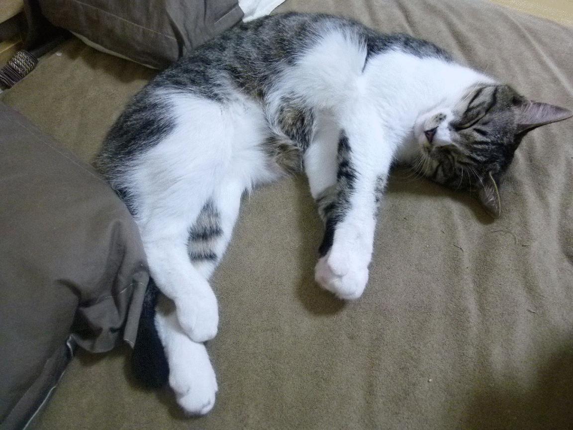 阿圭罗关键先生闪耀,伊拉克强势压制尼斯赢得焦点之战