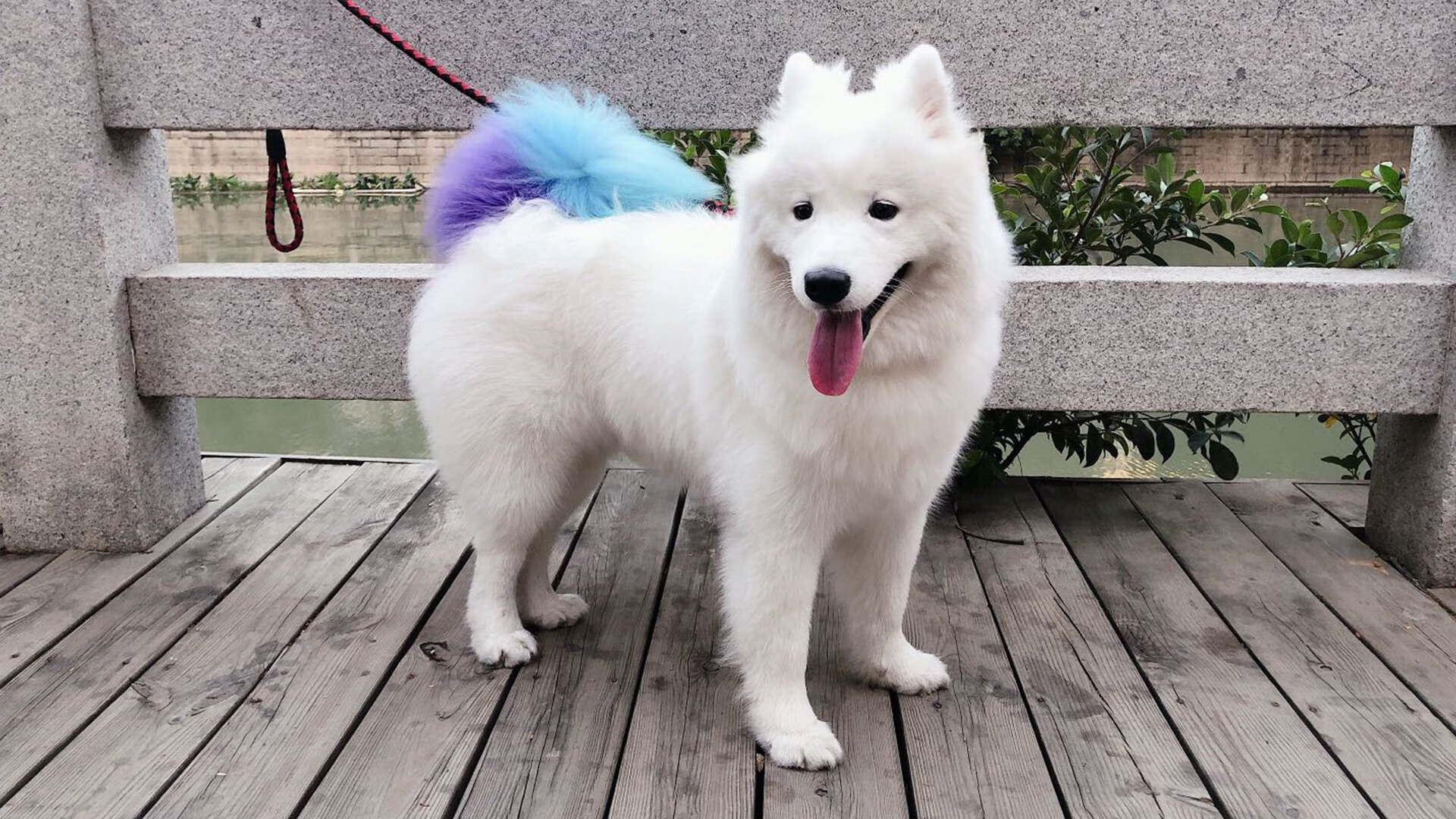 足球王国的复活，迪亚斯爆发，埃及以法老智慧击溃莱比锡红牛