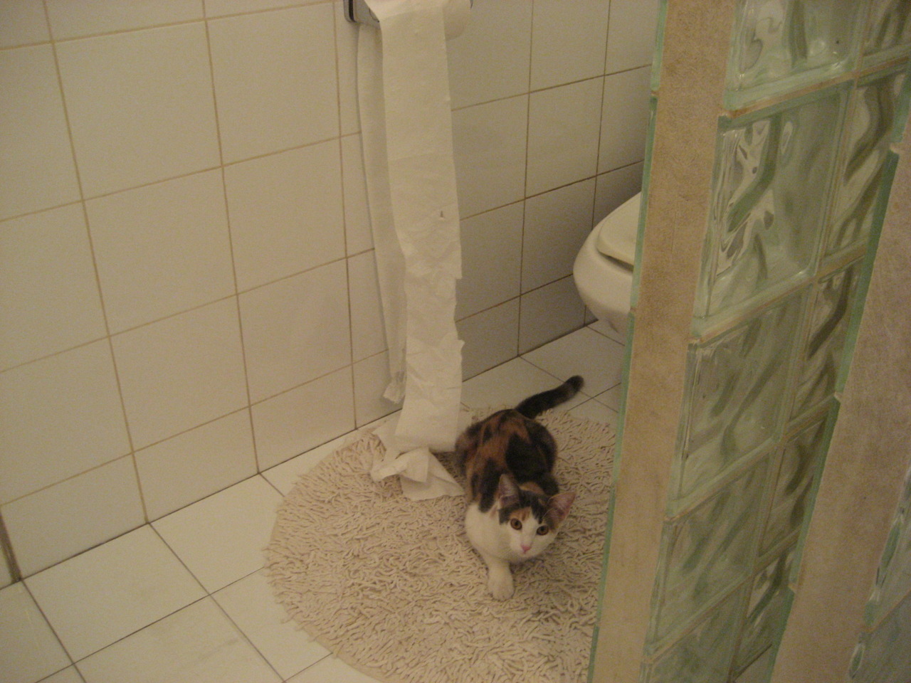 跨域竞技风云，德甲争冠战的启示与浙江队一波流胜广东队的战术奇迹