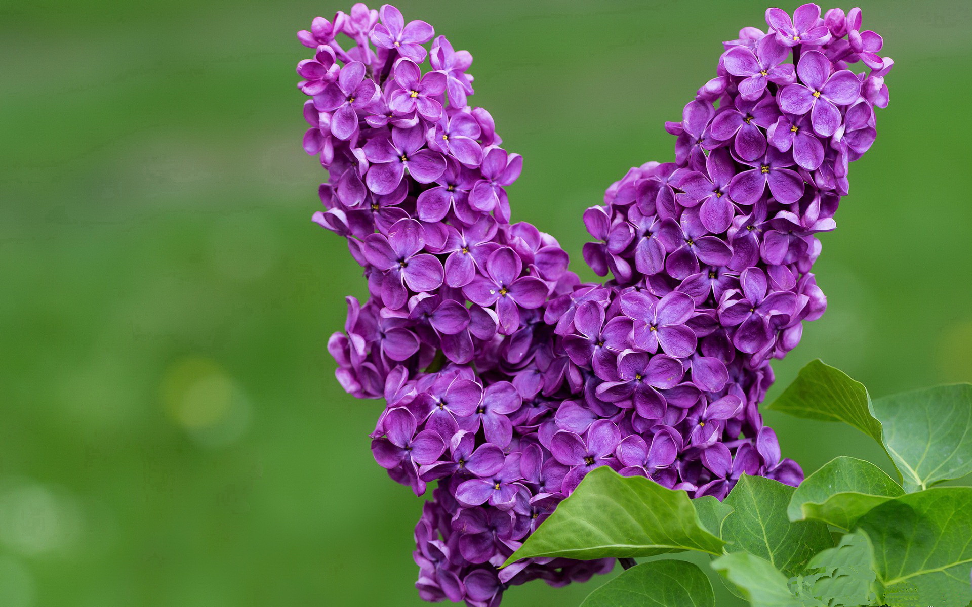 绝境逆袭!班凯罗自我救赎之战,掘金生死局力克山西