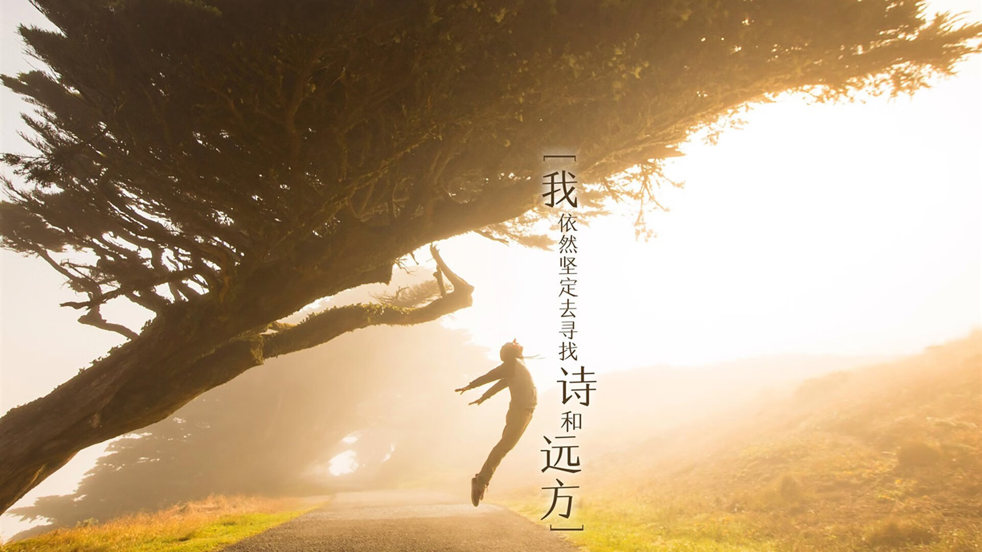 绿茵之巅，从美加墨世界杯焦点战到尤文关键突围，解读足球的战术密码与精神内核