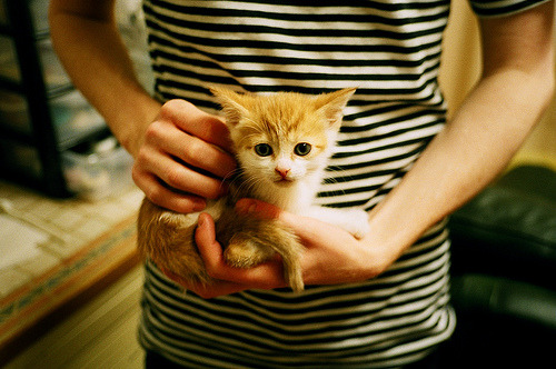 绿茵之巅，从美加墨世界杯焦点战到尤文关键突围，解读足球的战术密码与精神内核