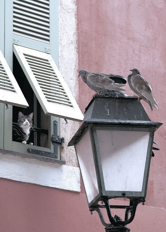 美加墨烽火,里昂轻取那不勒斯,战术纪律击败明星光环